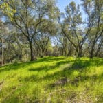 Photo 98 for Trembath Ridgetop Ranch