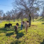 Photo 174 for Iron Oak Ranch