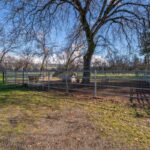 Photo 175 for Iron Oak Ranch