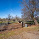 Photo 178 for Iron Oak Ranch