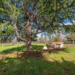 Photo 179 for Iron Oak Ranch