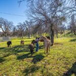 Photo 180 for Iron Oak Ranch