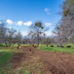 Photo 189 for Iron Oak Ranch