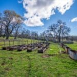 Photo 190 for Iron Oak Ranch