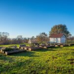 Photo 194 for Iron Oak Ranch