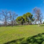 Photo 199 for Iron Oak Ranch