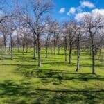 Photo 200 for Iron Oak Ranch