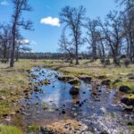 Photo 201 for Iron Oak Ranch