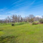 Photo 203 for Iron Oak Ranch