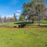 Photo 204 for Iron Oak Ranch