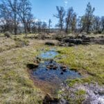 Photo 206 for Iron Oak Ranch