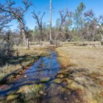 Photo 208 for Iron Oak Ranch