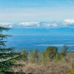 Photo 209 for Iron Oak Ranch