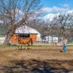 Photo 126 for Iron Oak Ranch