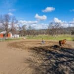 Photo 145 for Iron Oak Ranch