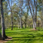 Photo 34 for River Heights Estate