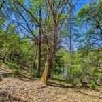 Photo 69 for Perfect Preppers Paradise