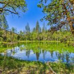 Photo 70 for Perfect Preppers Paradise
