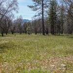 Photo 32 for 2003 N Kidder Creek House