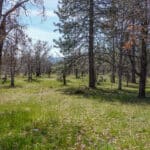 Photo 34 for 2003 N Kidder Creek House