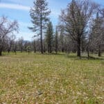 Photo 35 for 2003 N Kidder Creek House