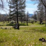 Photo 39 for 2003 N Kidder Creek House