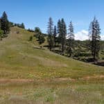 Photo 49 for West Moffett Creek Ranch