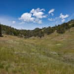 Photo 50 for West Moffett Creek Ranch
