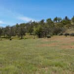 Photo 51 for West Moffett Creek Ranch