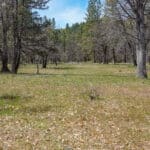 Photo 45 for 2003 N Kidder Creek House