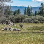 Photo 5 for 2003 N Kidder Creek House