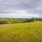 Photo 12 for Sweetwater Ranch