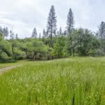 Photo 70 for Camp Tuolumne Trails