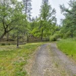 Photo 71 for Camp Tuolumne Trails