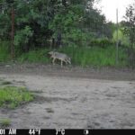 Photo 30 for Cottonwood Creek Ranch and Orchard