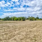 Photo 16 for Garden Highway Acreage/Rare Sacramento Landholding