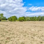 Photo 17 for Garden Highway Acreage/Rare Sacramento Landholding