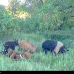 Photo 31 for Cottonwood Creek Ranch and Orchard