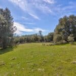 Photo 3 for Volcano Gem