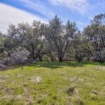 Photo 6 for Volcano Gem