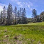 Photo 12 for Volcano Gem