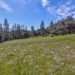 Photo 14 for Volcano Gem