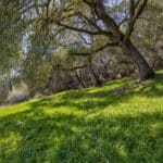 Photo 21 for Volcano Gem