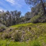 Photo 23 for Volcano Gem