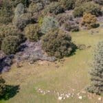 Photo 40 for Volcano Gem