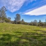 Photo 44 for Volcano Gold Acres