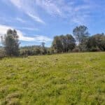 Photo 43 for Volcano Gold Acres