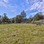 Photo 42 for Volcano Gold Acres