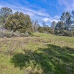 Photo 41 for Volcano Gold Acres