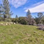 Photo 39 for Volcano Gold Acres